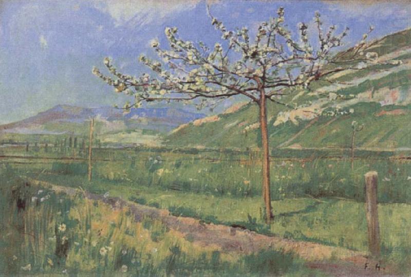 Ferdinand Hodler Apple tree in Blossom oil painting picture